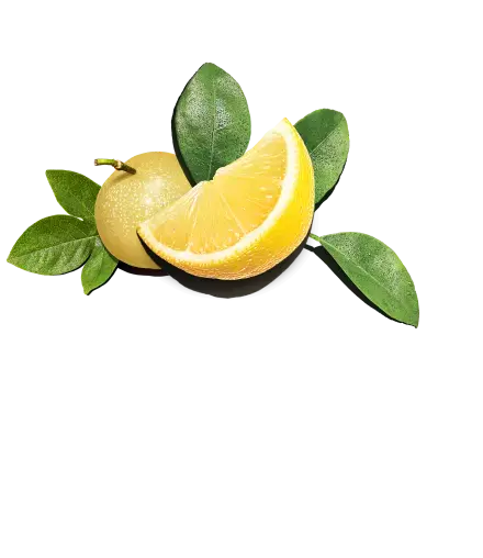 hero-limes.webp