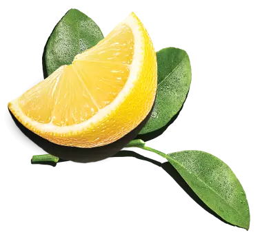 limón hojas